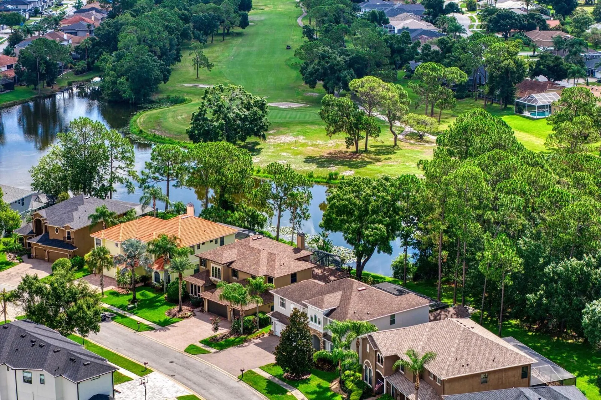 12918 Red Cardinal Drive Odessa FL 33556