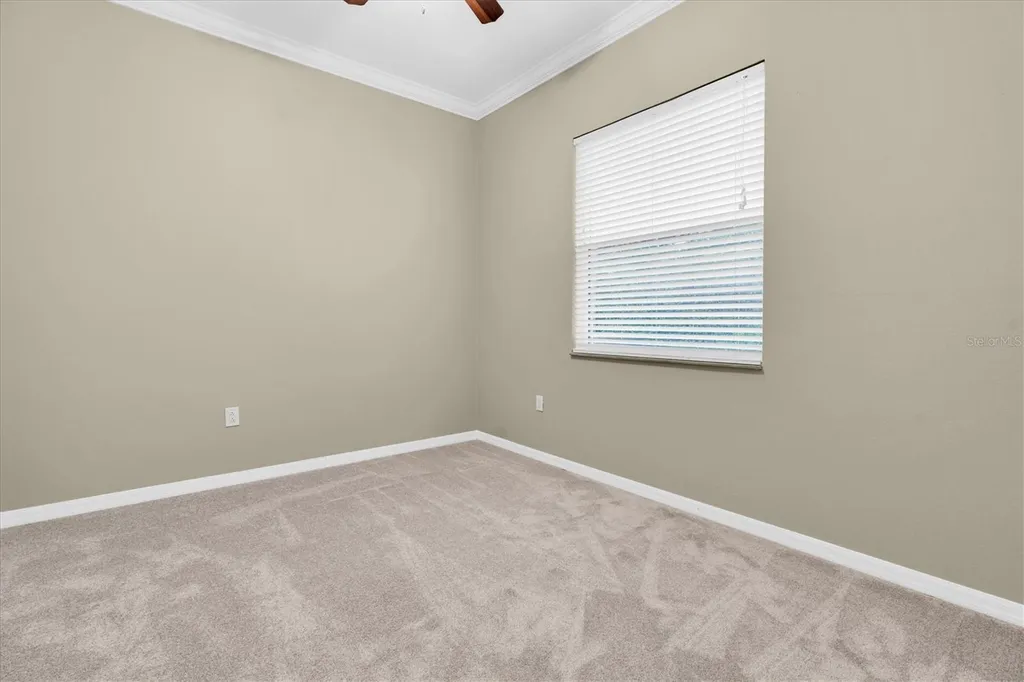 1526 Lake Polo Drive Odessa FL 33556