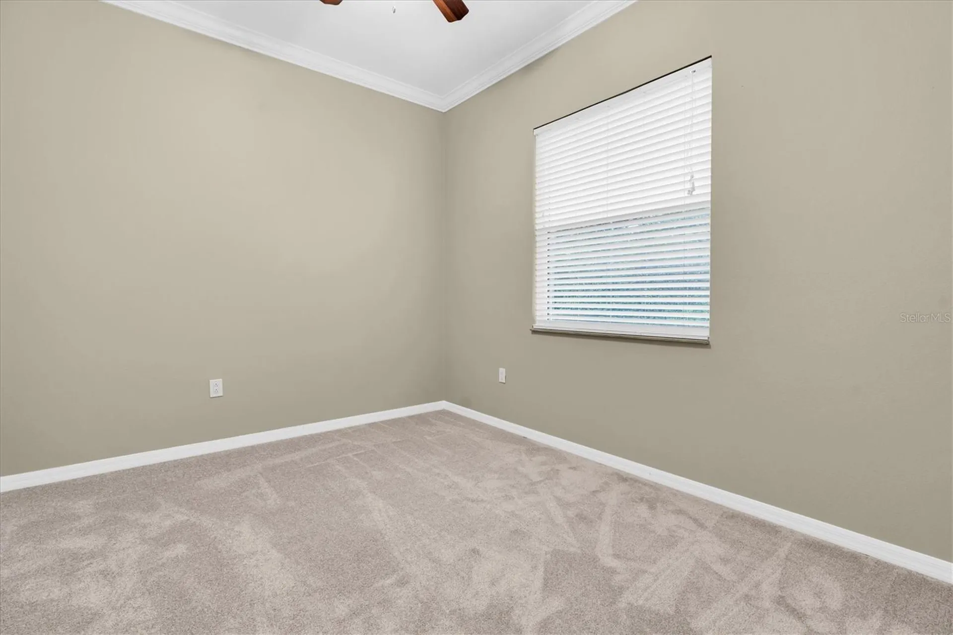 1526 Lake Polo Drive Odessa FL 33556