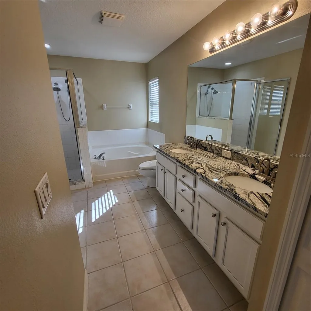 25903 Bloomsbury Court Land O Lakes FL 34639