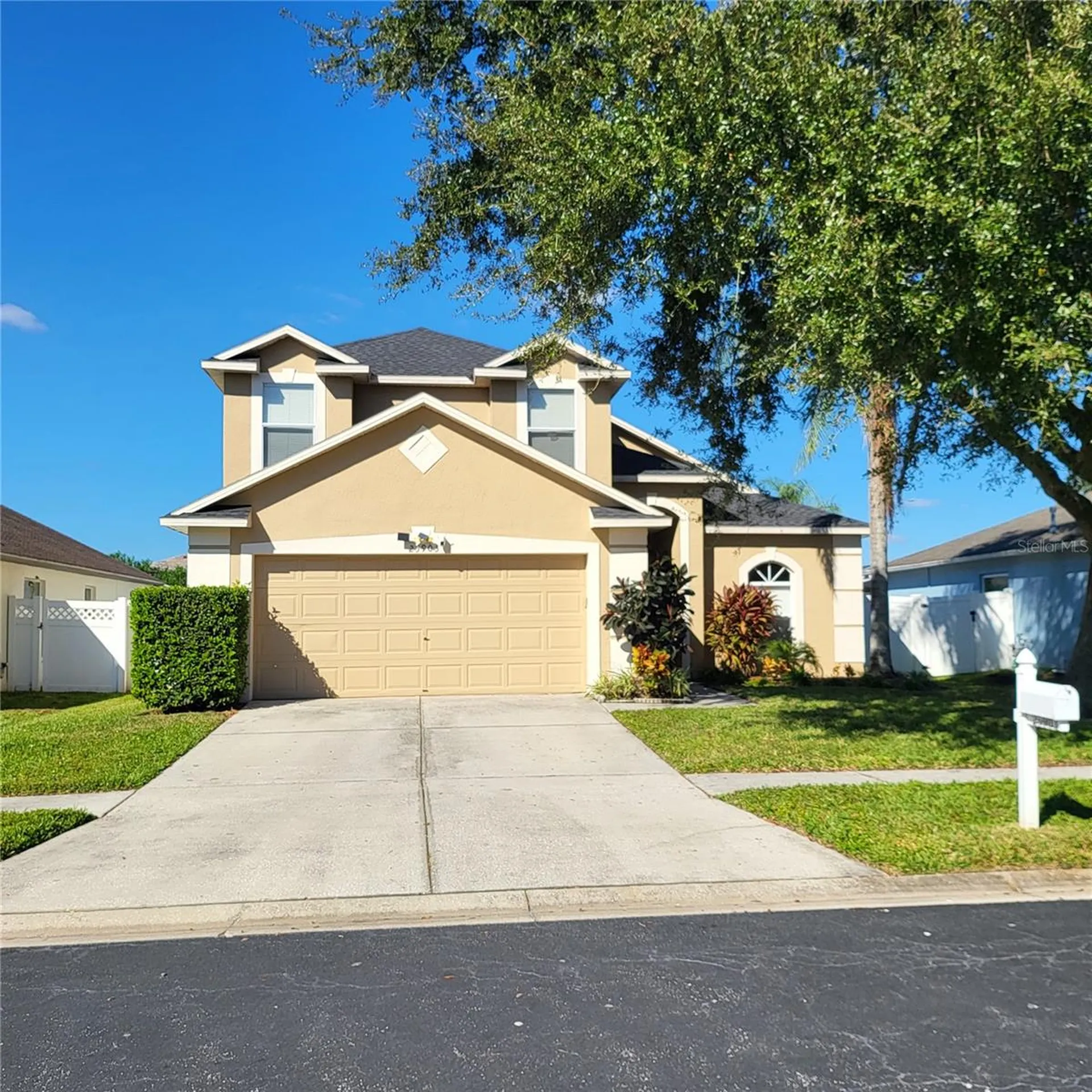25903 Bloomsbury Court Land O Lakes FL 34639
