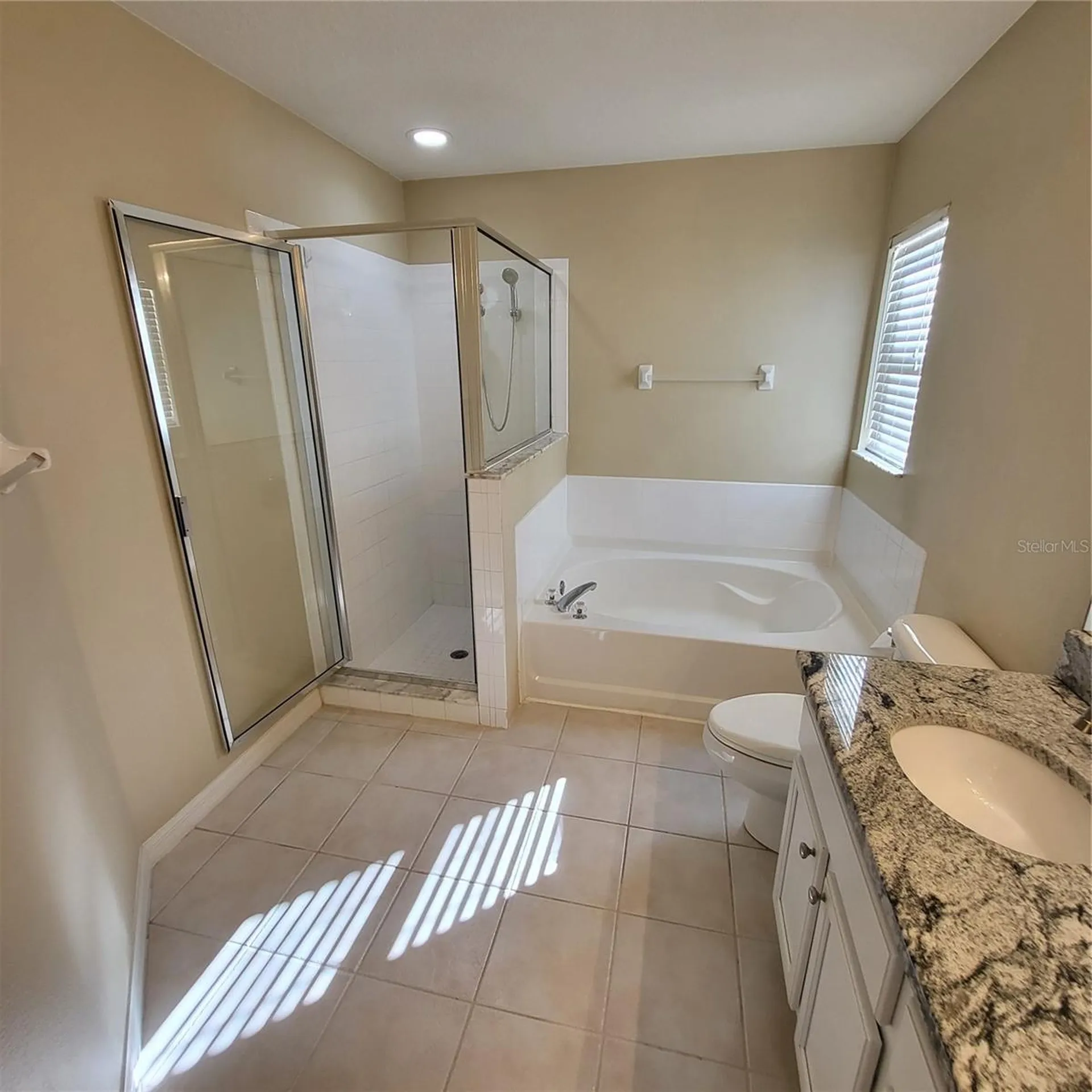 25903 Bloomsbury Court Land O Lakes FL 34639