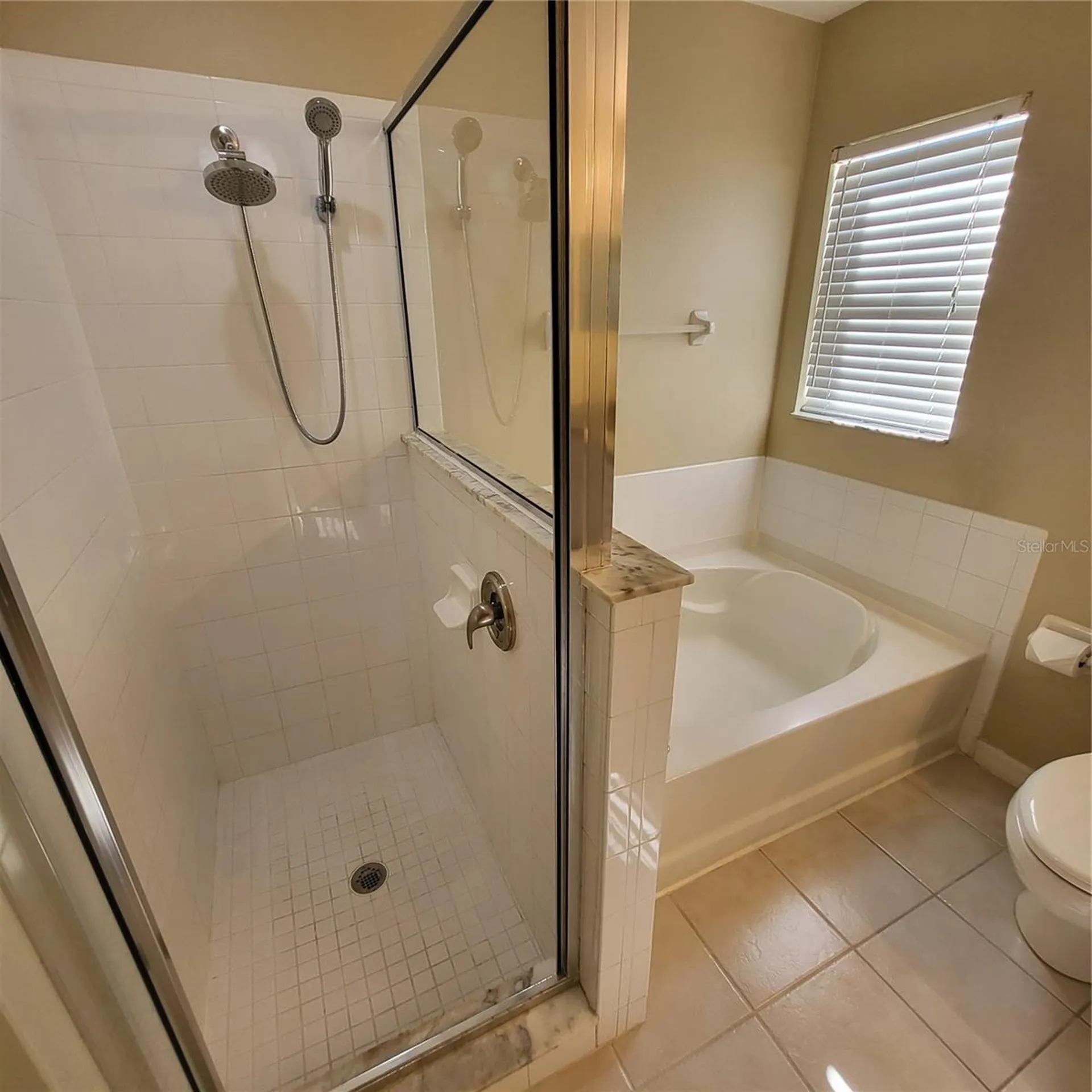 25903 Bloomsbury Court Land O Lakes FL 34639