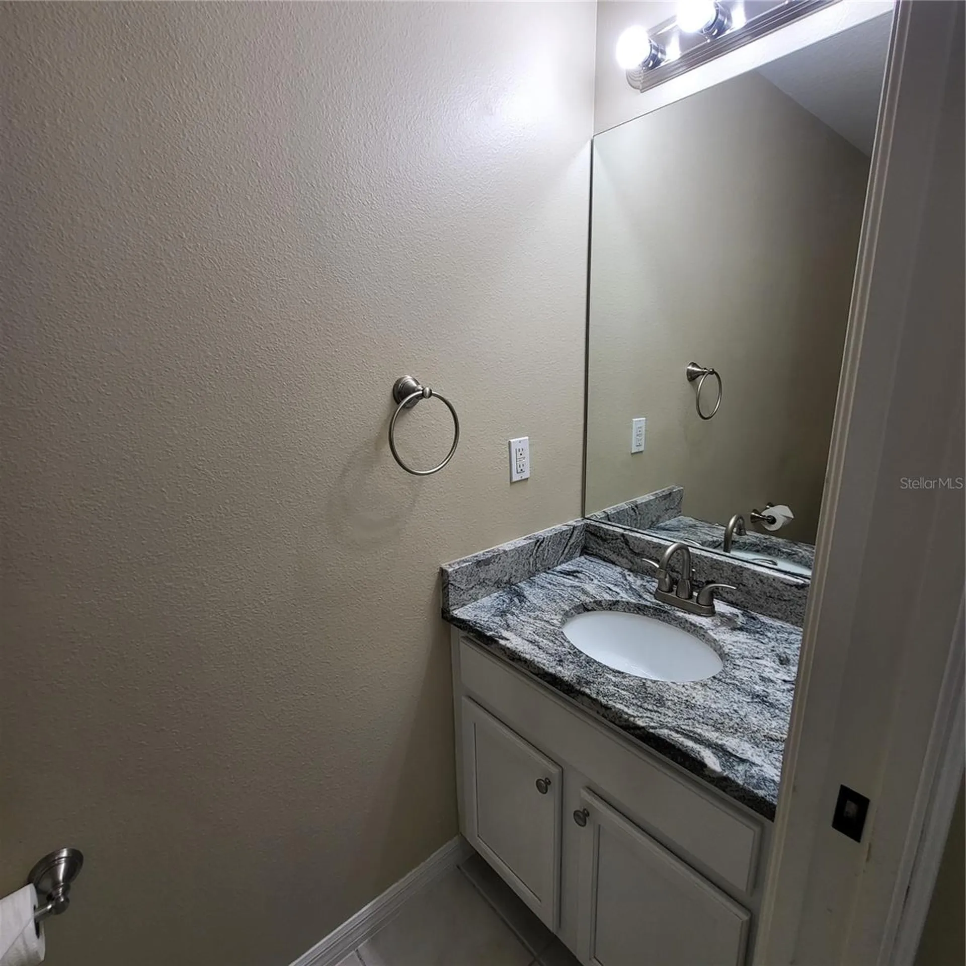 25903 Bloomsbury Court Land O Lakes FL 34639