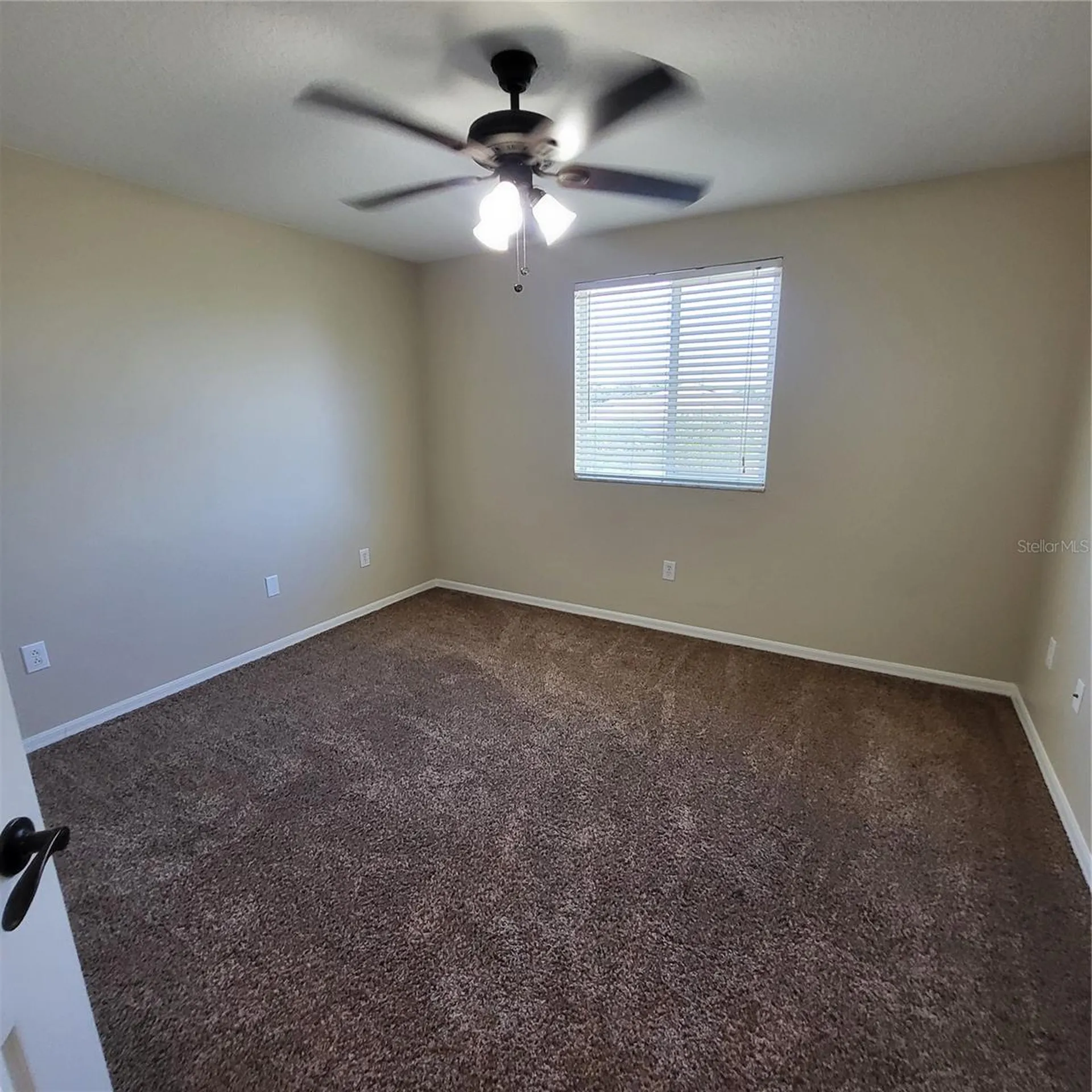 25903 Bloomsbury Court Land O Lakes FL 34639