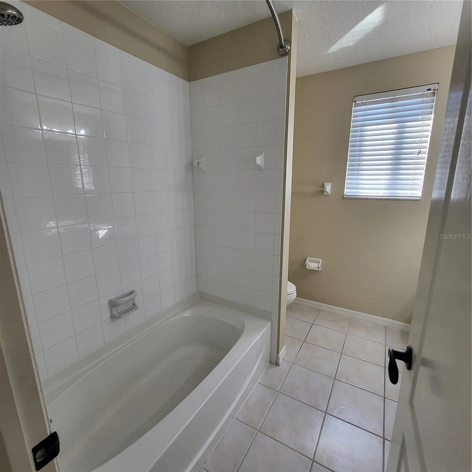 25903 Bloomsbury Court Land O Lakes FL 34639