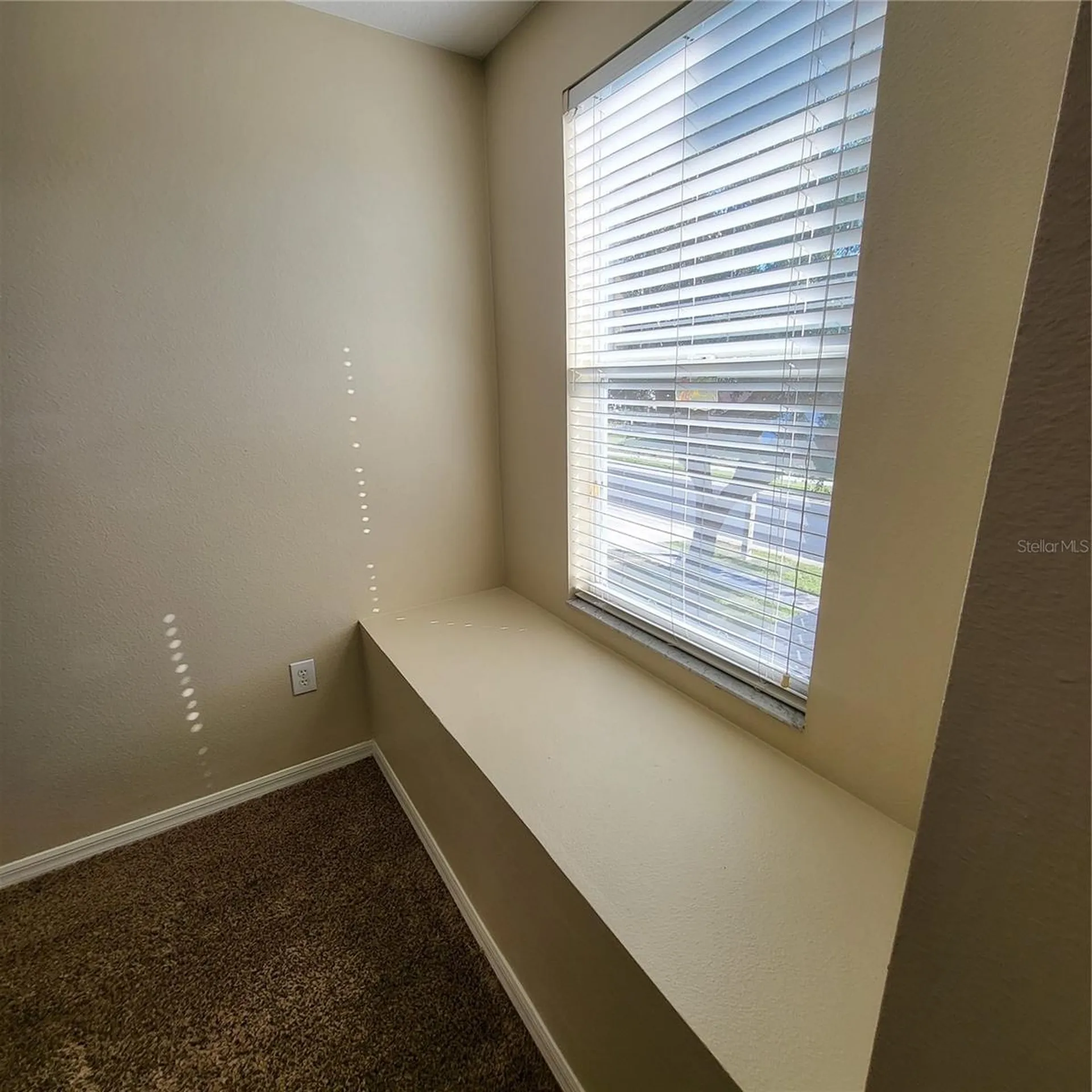 25903 Bloomsbury Court Land O Lakes FL 34639