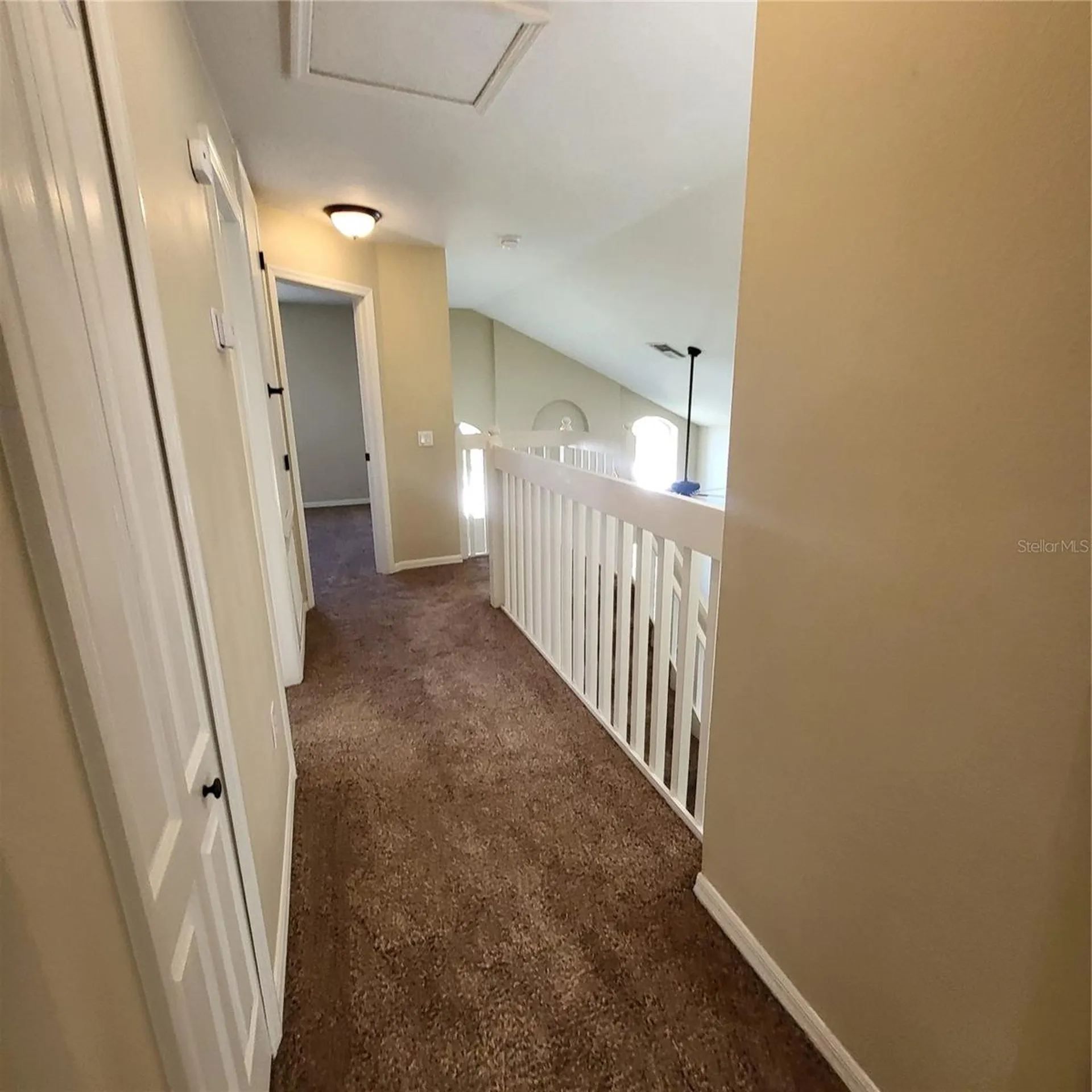25903 Bloomsbury Court Land O Lakes FL 34639