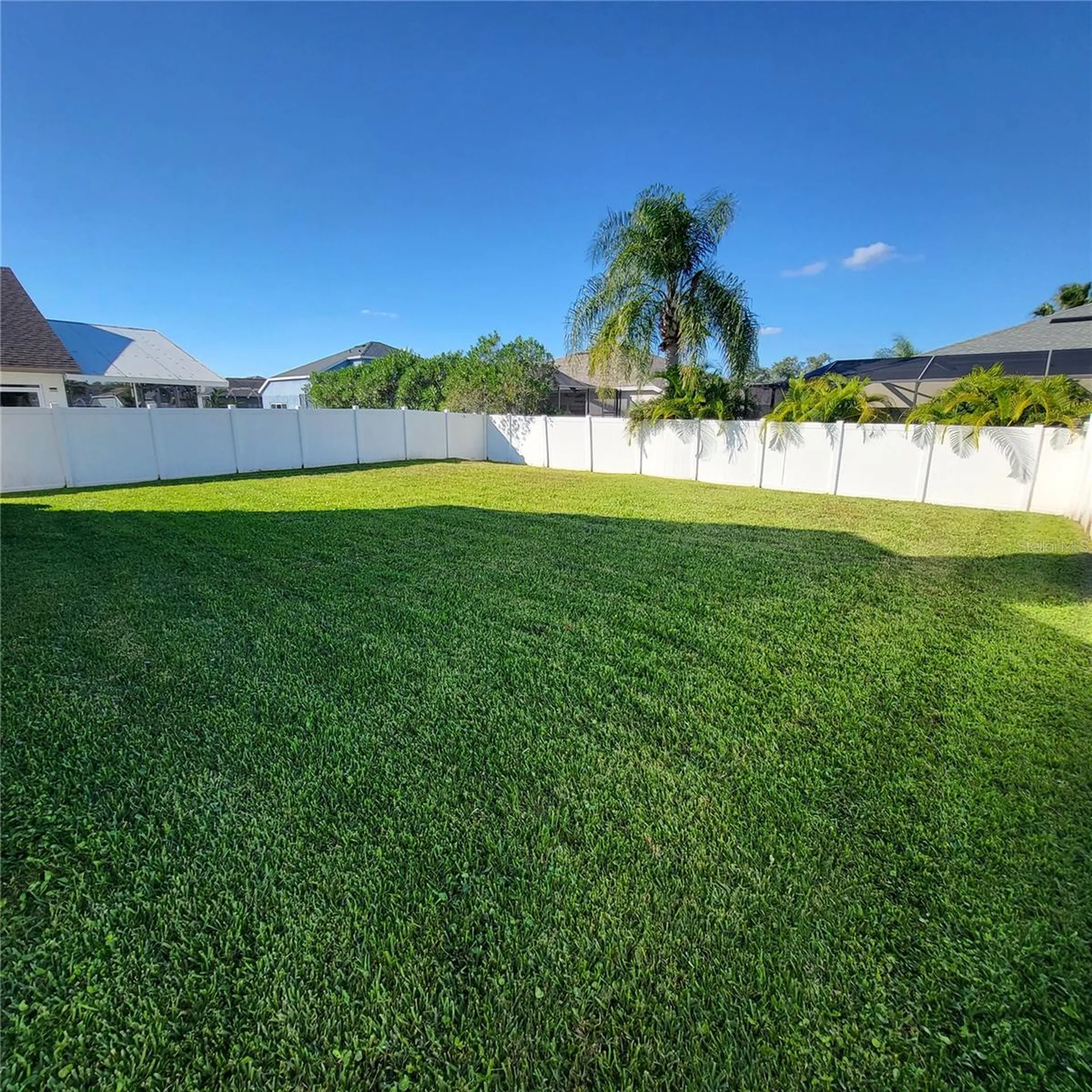 25903 Bloomsbury Court Land O Lakes FL 34639