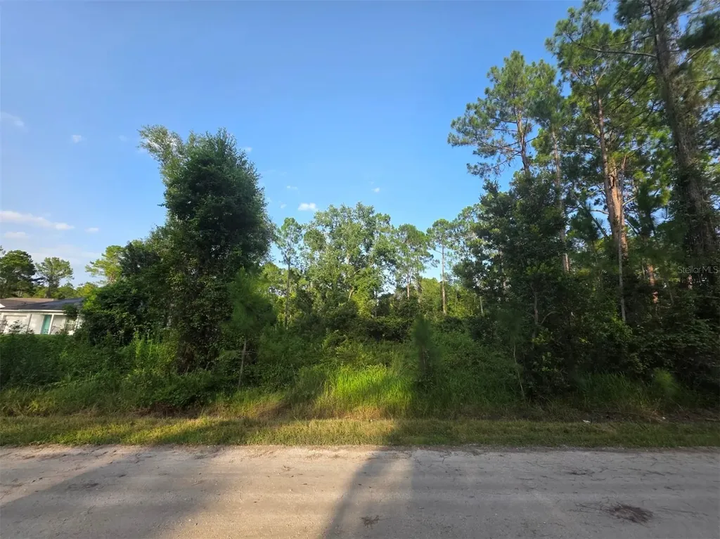 1233 East Parkway Deland FL 32724