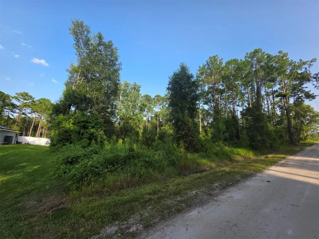 1233 East Parkway Deland FL 32724