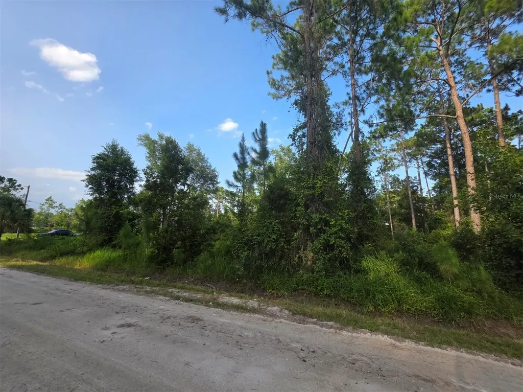 1233 East Parkway Deland FL 32724