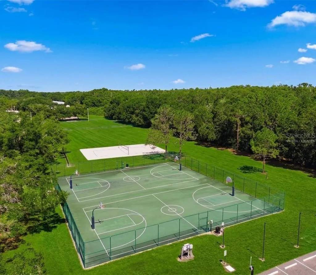 8603 Boysenberry Drive Tampa FL 33635
