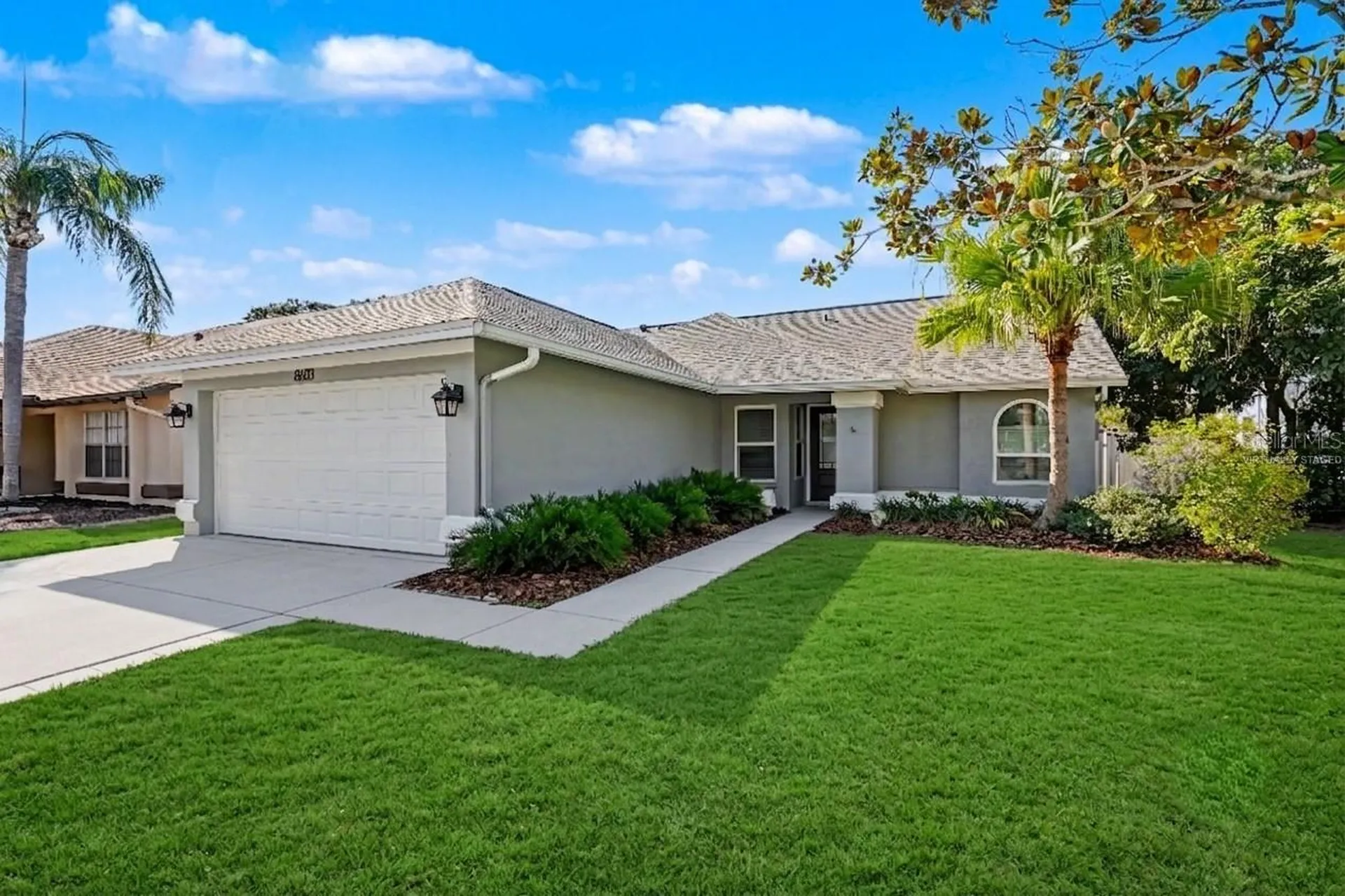 8603 Boysenberry Drive Tampa FL 33635