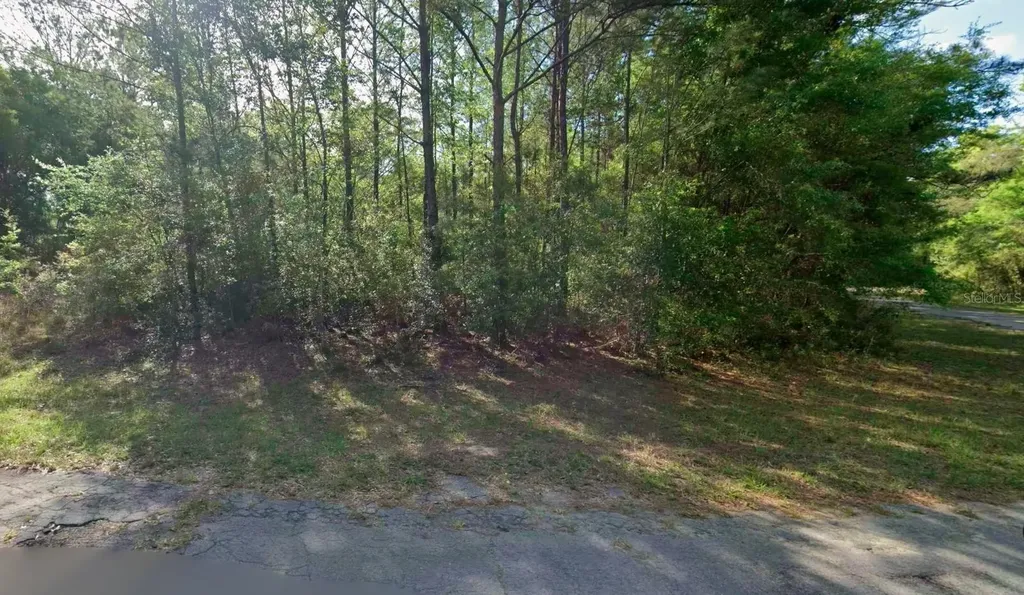 8961 N Conch Terrace Dunnellon FL 34434