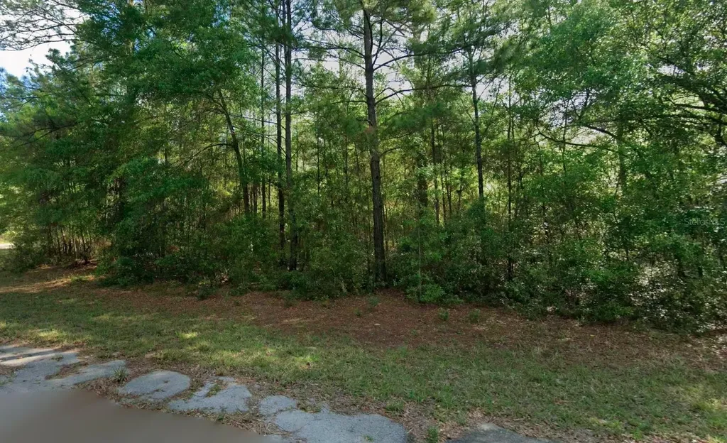 8961 N Conch Terrace Dunnellon FL 34434