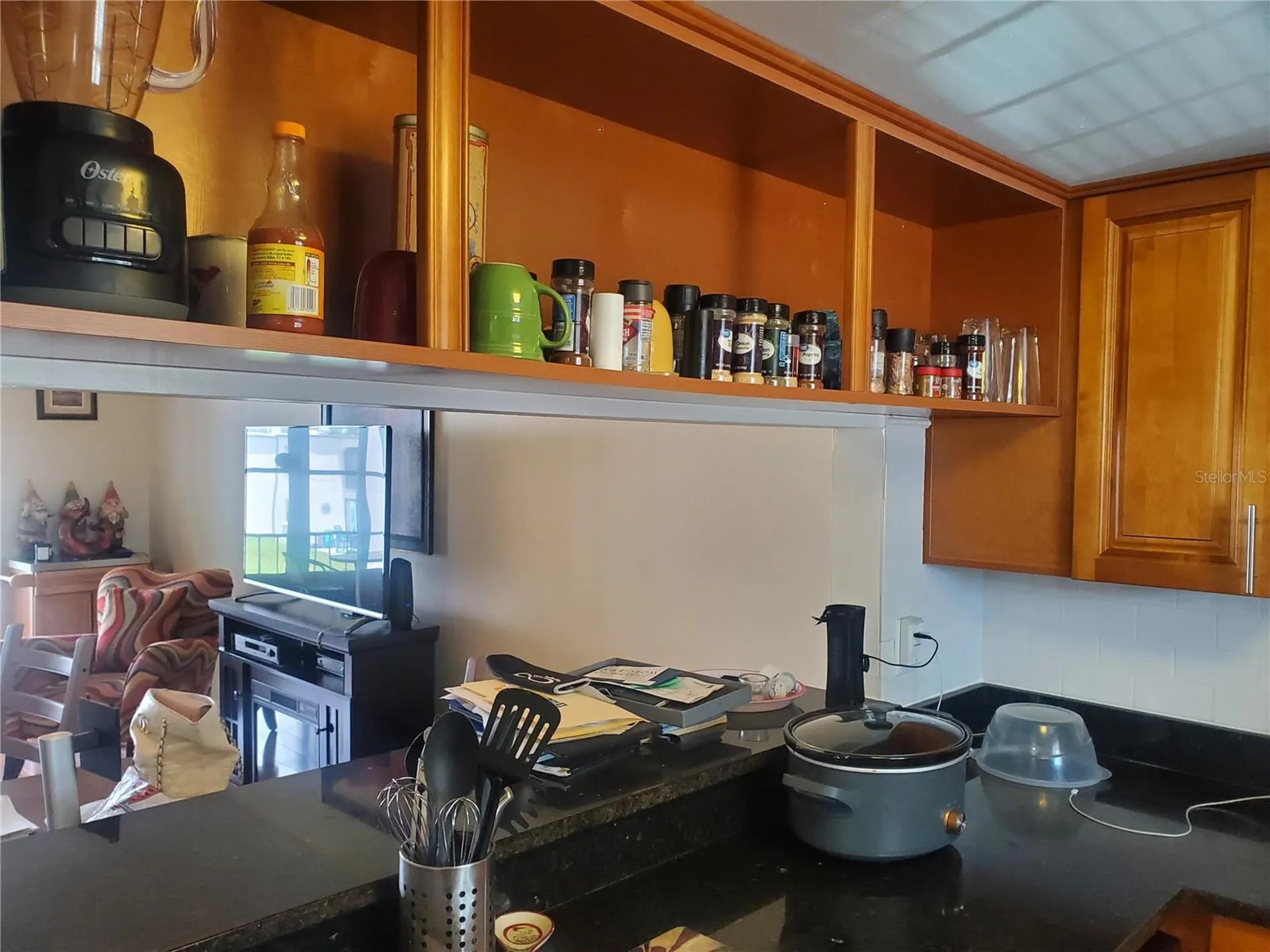7701 Starkey Road Seminole FL 33777