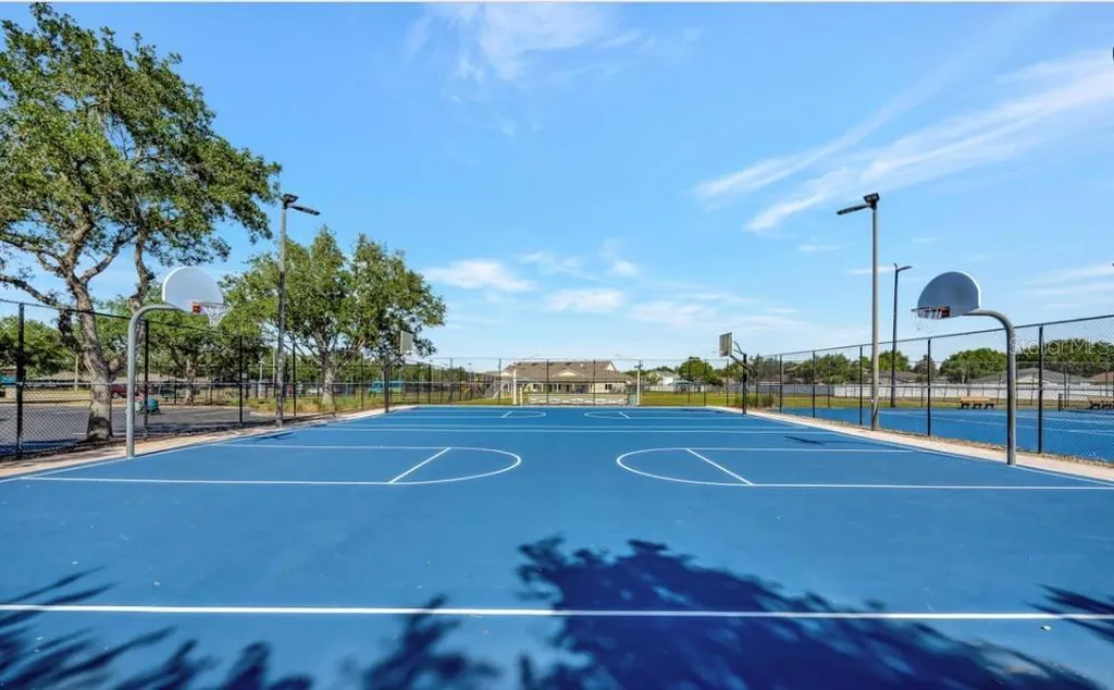 11211 Laurel Brook Court Riverview FL 33569