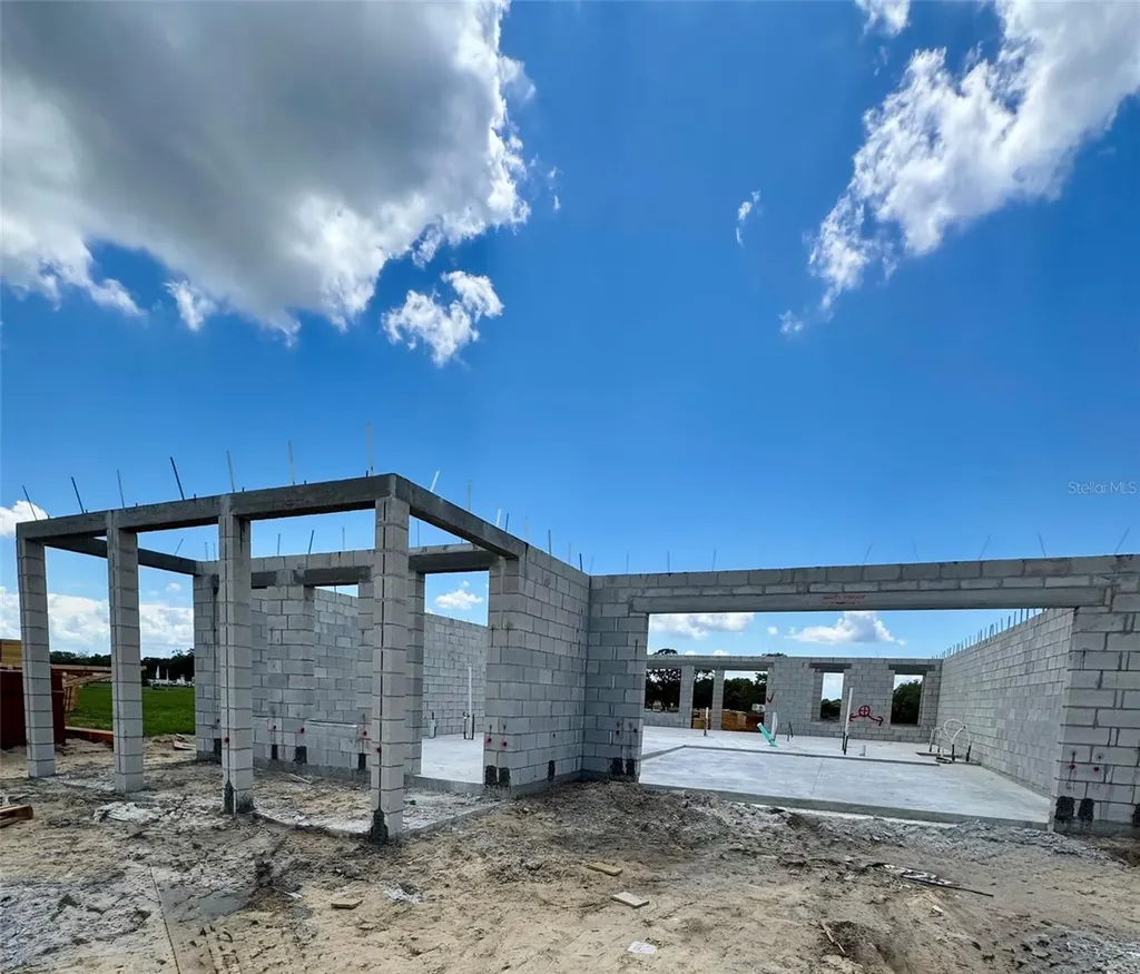 30237 Rustic Mill Street Mount Dora FL 32757