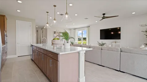 30237 Rustic Mill Street Mount Dora FL 32757
