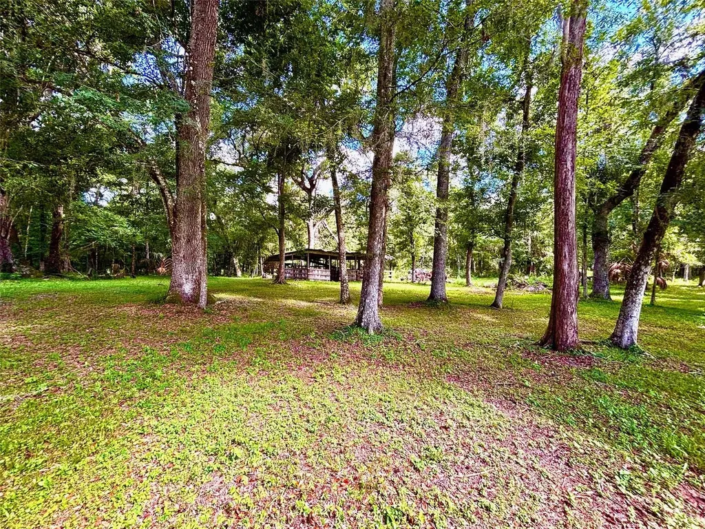9499 Treiman Boulevard Webster FL 33597
