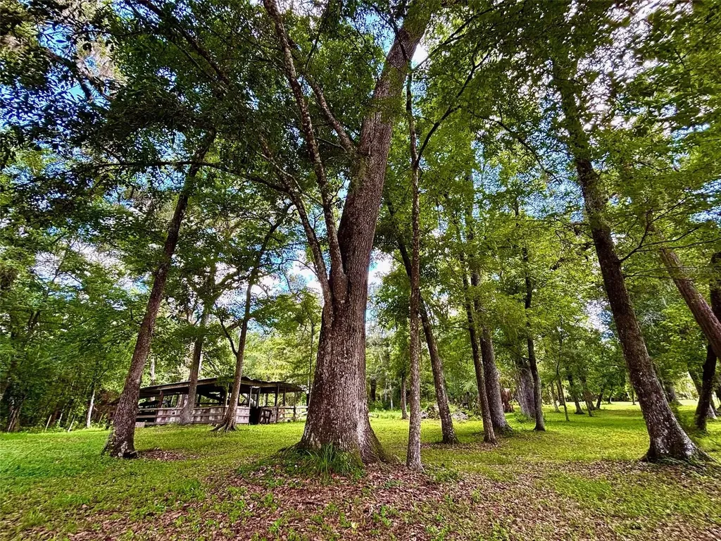 9499 Treiman Boulevard Webster FL 33597