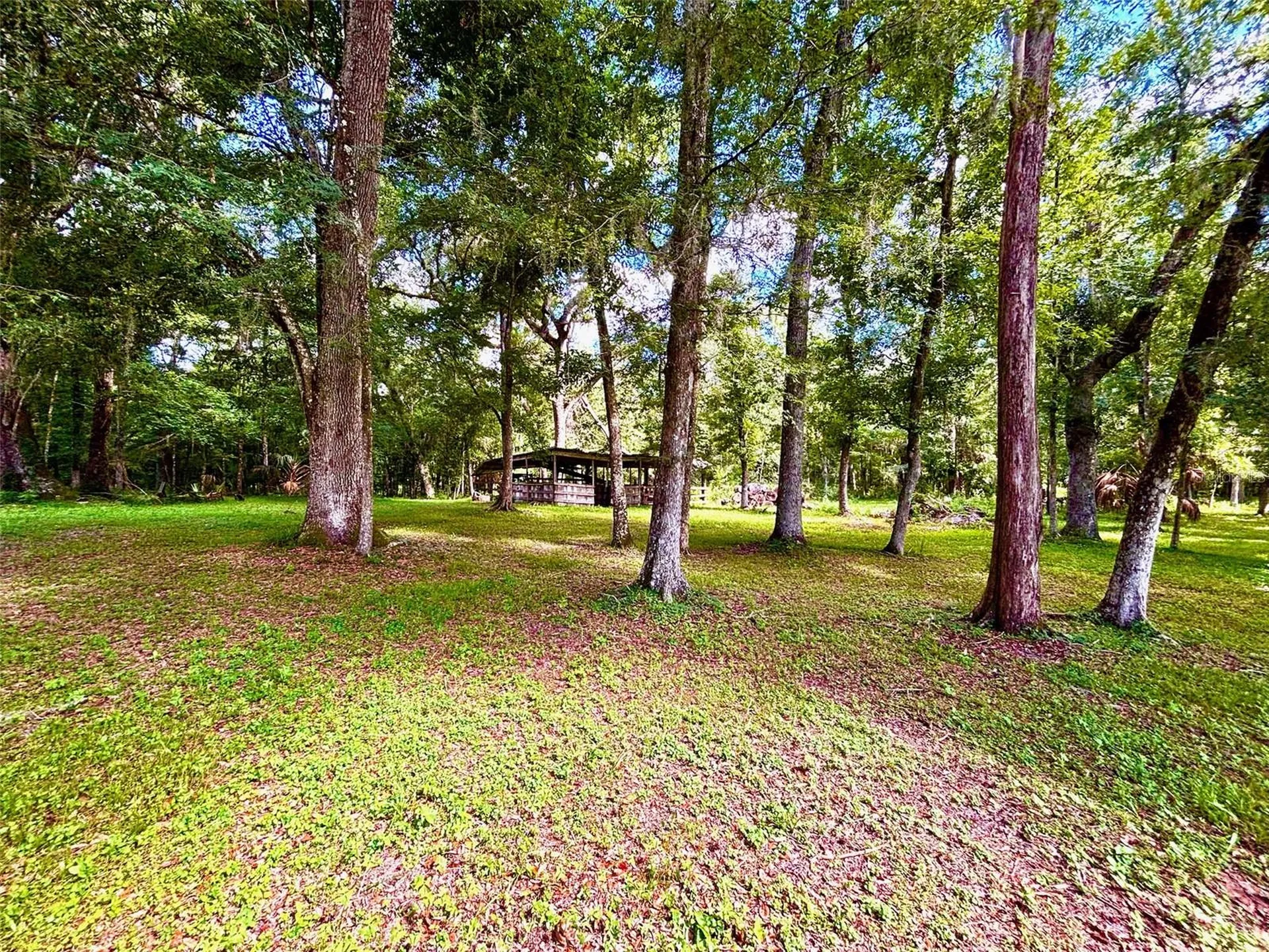 9499 Treiman Boulevard Webster FL 33597