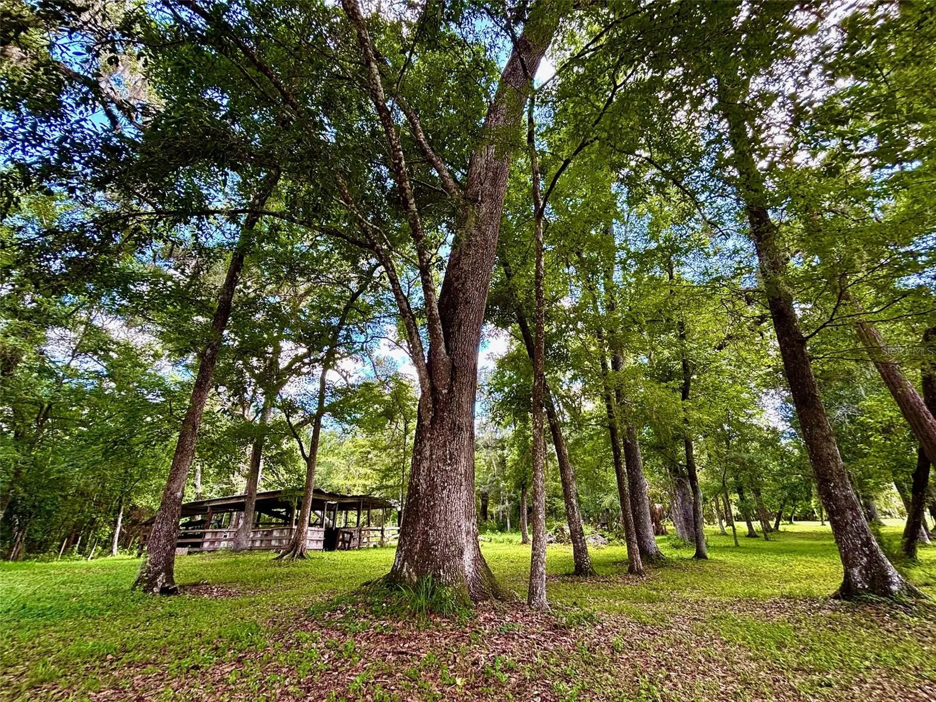 9499 Treiman Boulevard Webster FL 33597