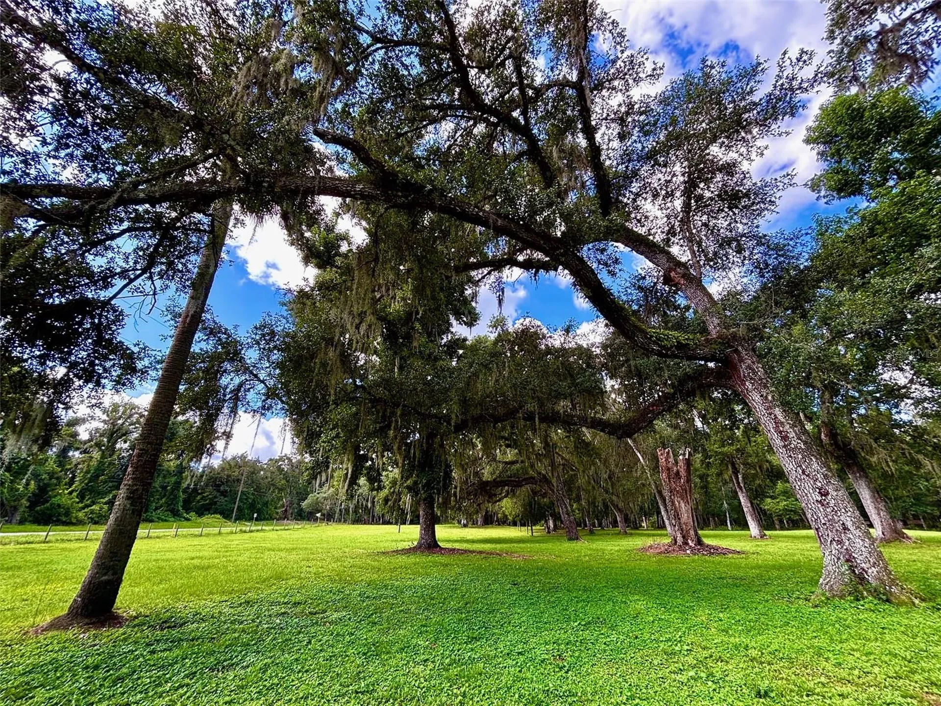 9499 Treiman Boulevard Webster FL 33597
