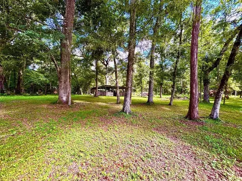 9499 Treiman Boulevard Webster FL 33597