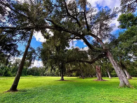 9499 Treiman Boulevard Webster FL 33597