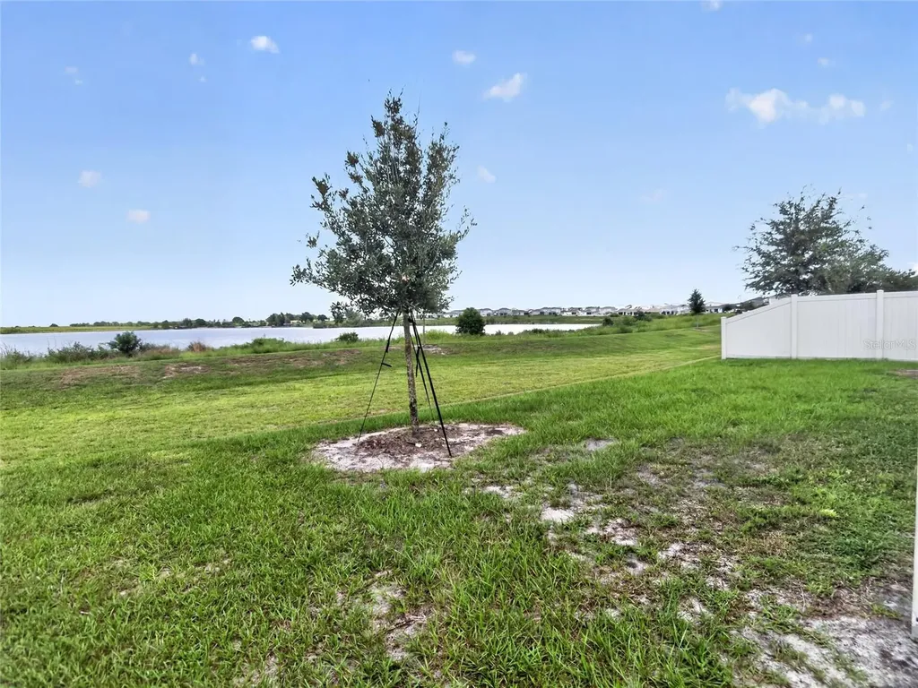 992 Griffon Avenue Lake Alfred FL 33850