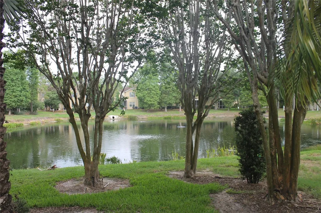 9238 Stone River Place Riverview FL 33578