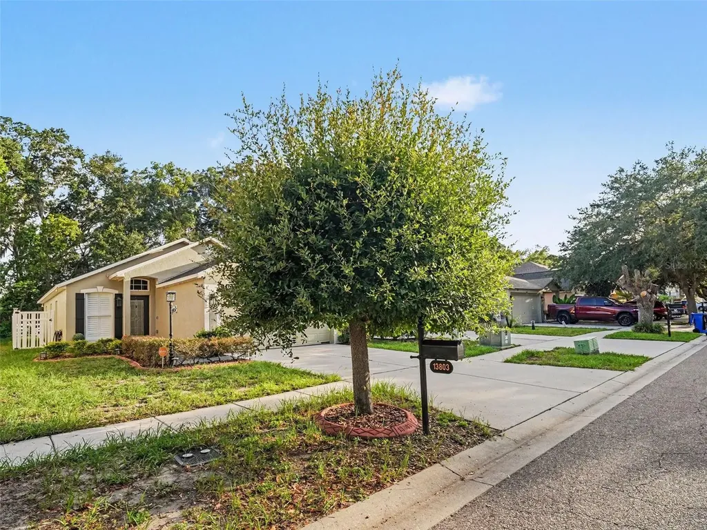 13803 Gentle Woods Avenue Riverview FL 33569