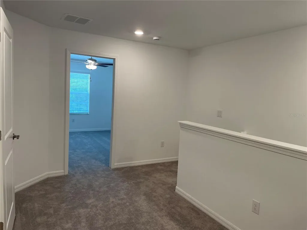 17565 Nectar Flume Drive Land O Lakes FL 34638