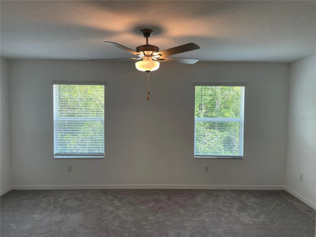 17565 Nectar Flume Drive Land O Lakes FL 34638