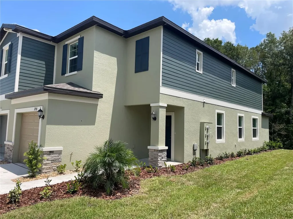 17565 Nectar Flume Drive Land O Lakes FL 34638