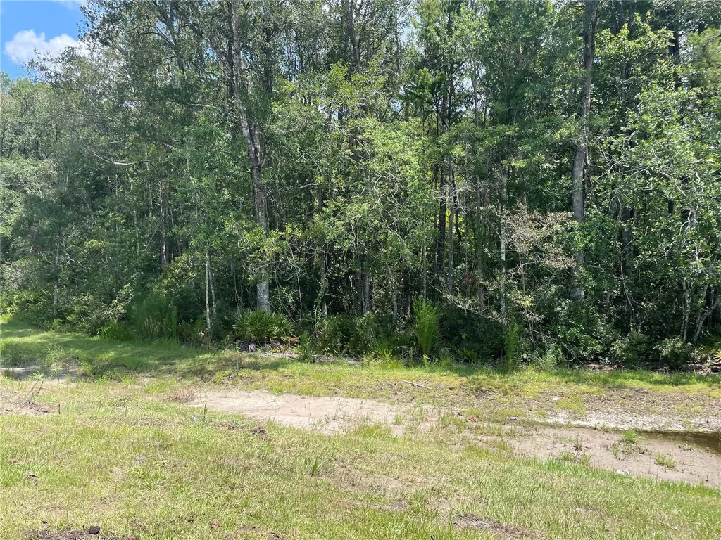17565 Nectar Flume Drive Land O Lakes FL 34638