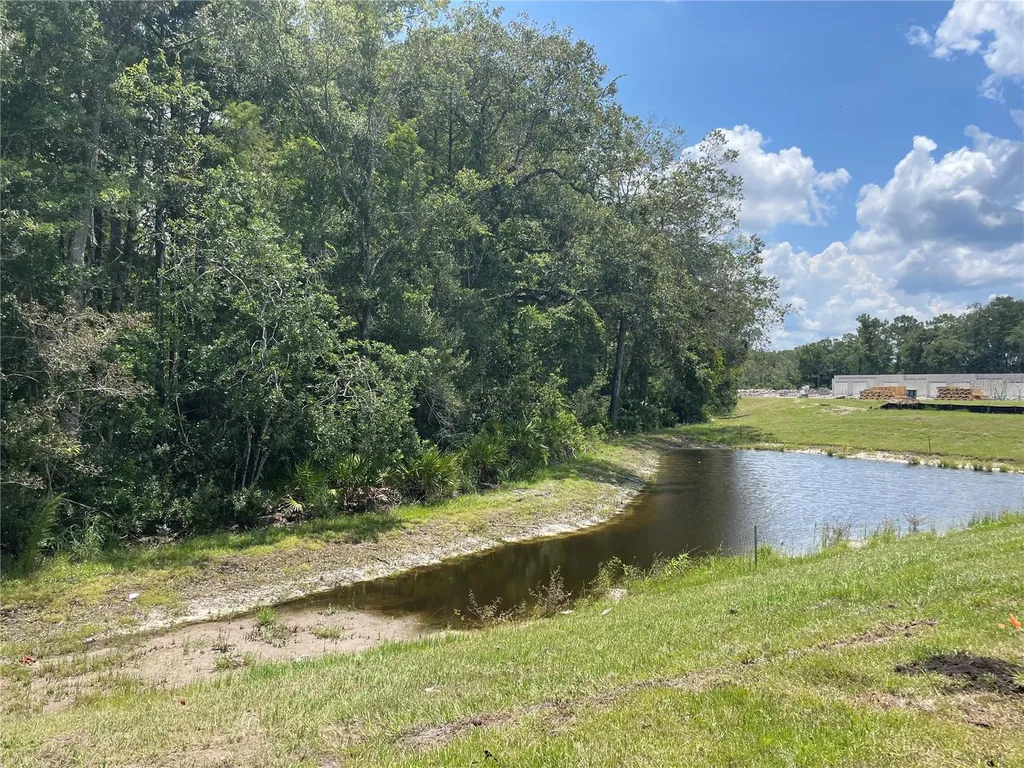 17565 Nectar Flume Drive Land O Lakes FL 34638