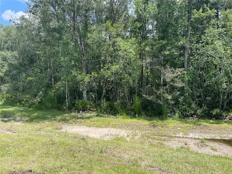 17565 Nectar Flume Drive Land O Lakes FL 34638