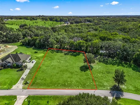SE 156th Lane Weirsdale FL 32195