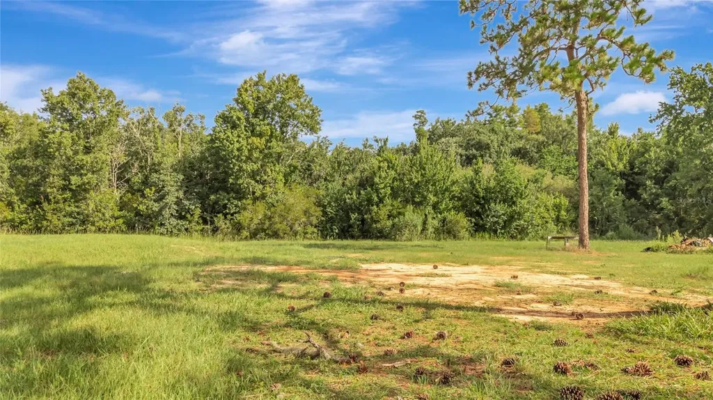 4541 County Road 561 Clermont FL 34714