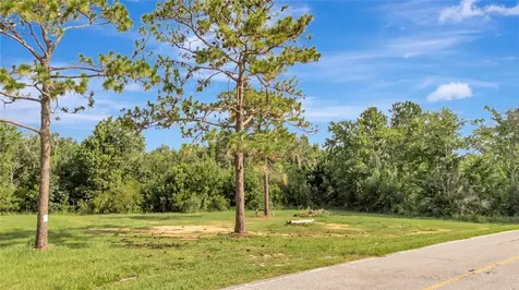4541 County Road 561 Clermont FL 34714
