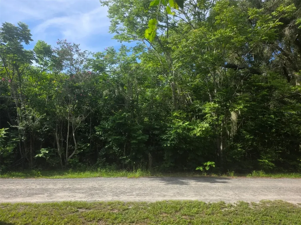 6601 SE 119th Street Belleview FL 34420