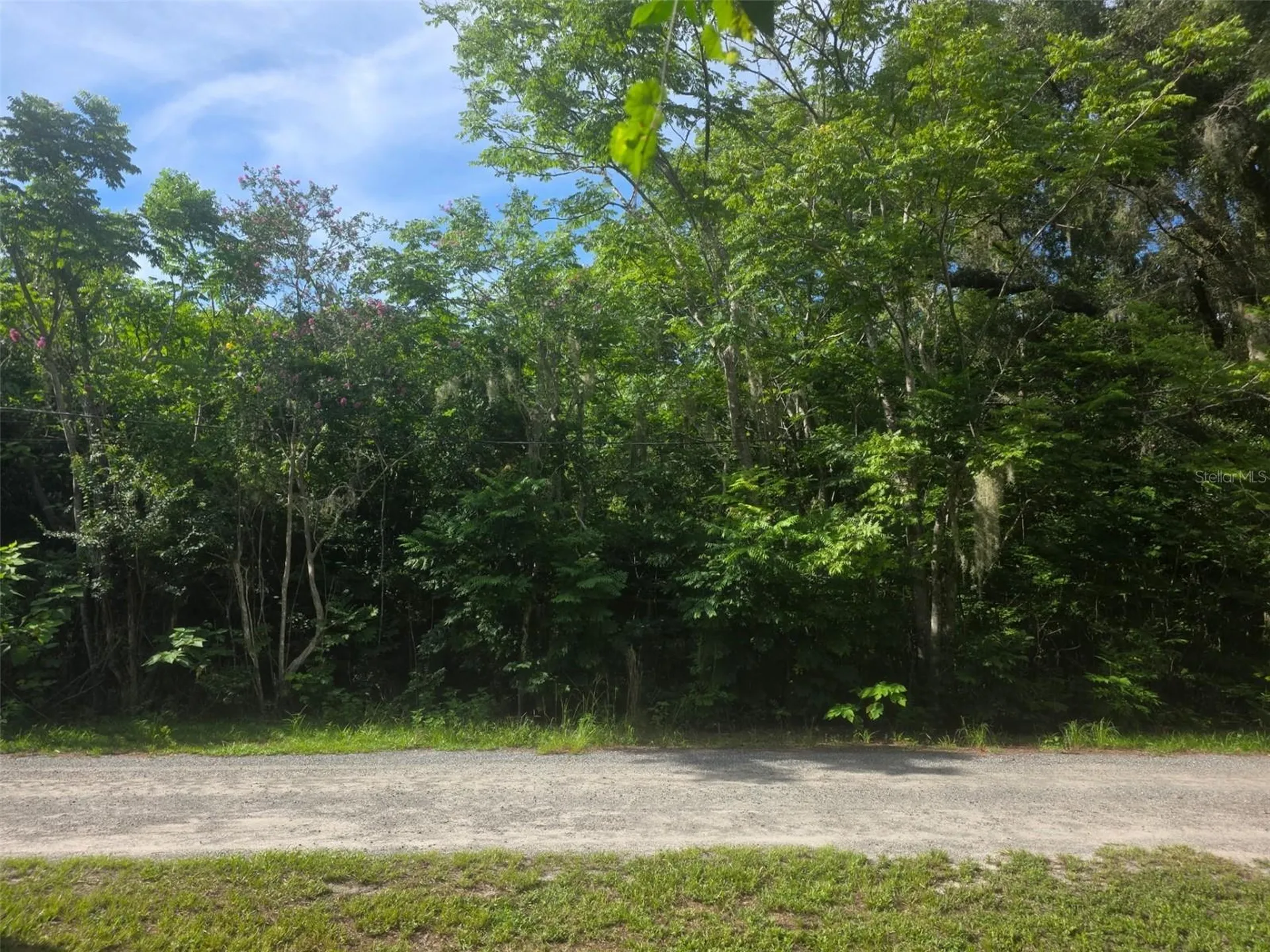 6601 SE 119th Street Belleview FL 34420