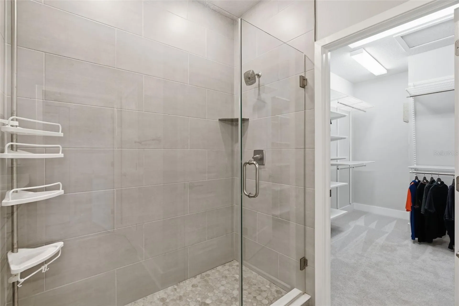 2511 N Grady Avenue Tampa FL 33607