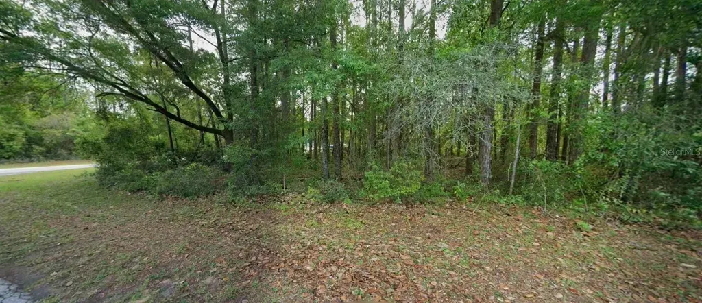 10181 N Gardner Way Citrus Springs FL 34434
