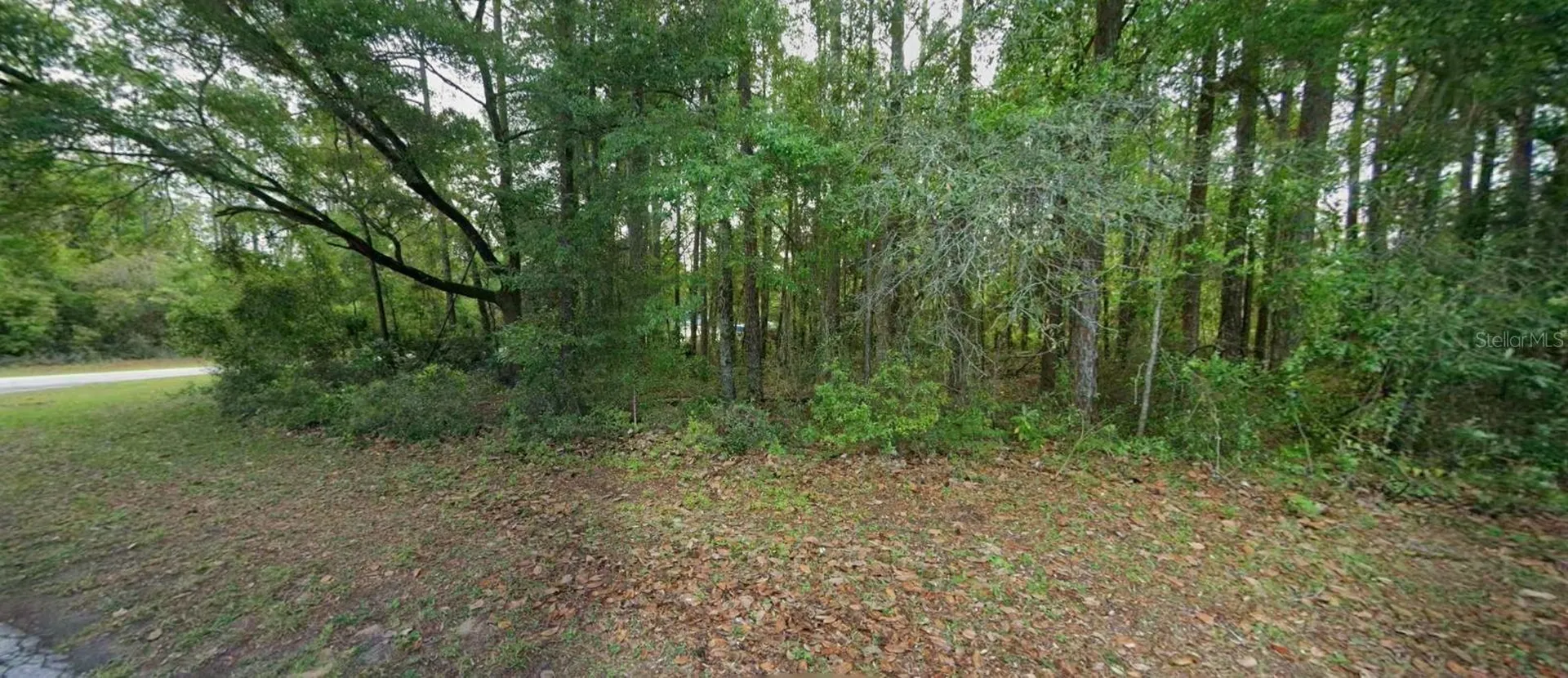10181 N Gardner Way Citrus Springs FL 34434