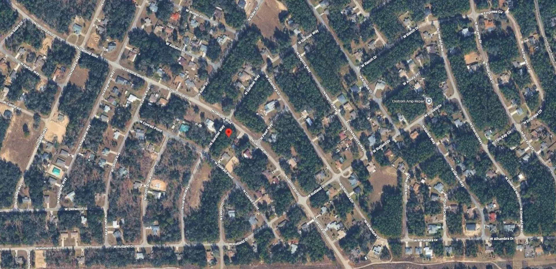 10181 N Gardner Way Citrus Springs FL 34434