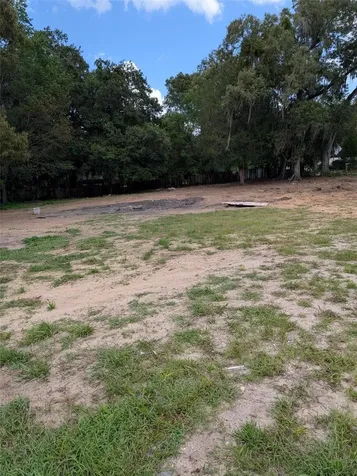 19063 N Us Highway 441 Reddick FL 32686